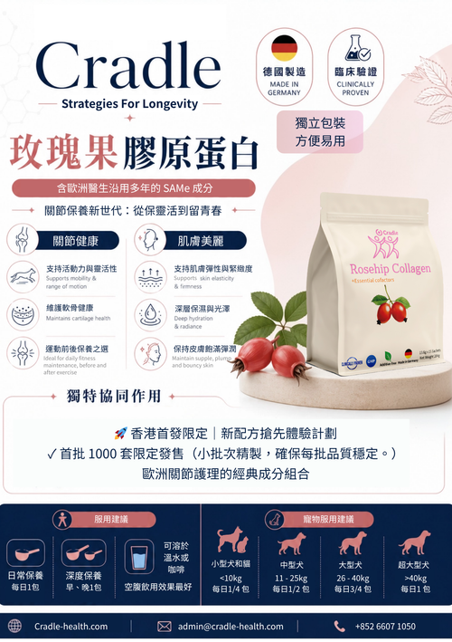 Cradle 玫瑰果膠原蛋白肽 | 15條/包 | 天然膠原補充方案 | 含歐洲醫生沿用多年的 SAMe 成分 |